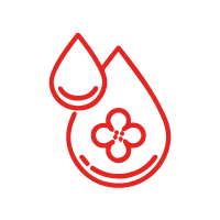 Freído con aceite de canola